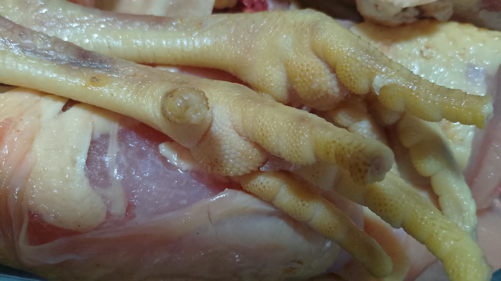 Pés e pele amarela de frango caipira
